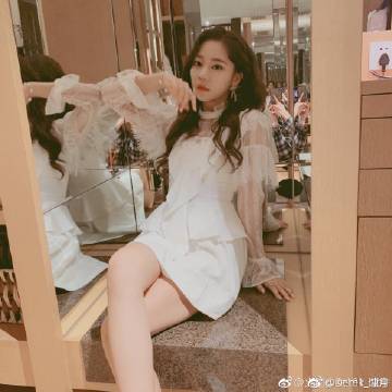 可爱鲸碰碰碰中文版下载